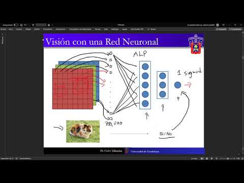 Vídeo: Diagnóstico Automático De Imágenes Oftálmicas Desequilibradas Utilizando Una Red Neuronal Convolucional Profunda Sensible Al Costo