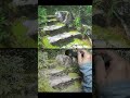 [水彩で描く、苔生す石段のある和の庭] 水彩画　ショート動画　 Masato Watanabe #水彩メイキング #watercolor #水彩画 #painting