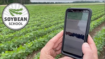 Soybean School: Measuring canopy closure in a snap