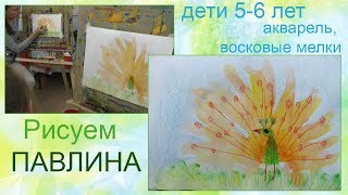 Рисуем павлина с детьми 5 6 лет | Школа рисования Ижевск Рисуем павлина с детьми 5 6 лет | Школа рисования Ижевск