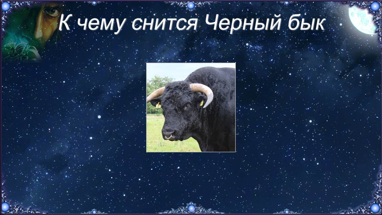 К чему снится Черный бык (Сонник)