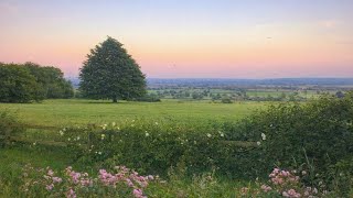 a comfort playlist for quiet moments in a noisy life 🍃