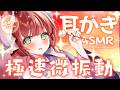 【ASMR/耳かき】微振動高速耳かき【VTuber/耳かきボイス /こりす】