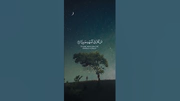 قالوا كيف نكلم من كان في المهد صبيا | عبدالله غيلان | سوره مريم #القرآن_الكريم #quran #islam #مصر