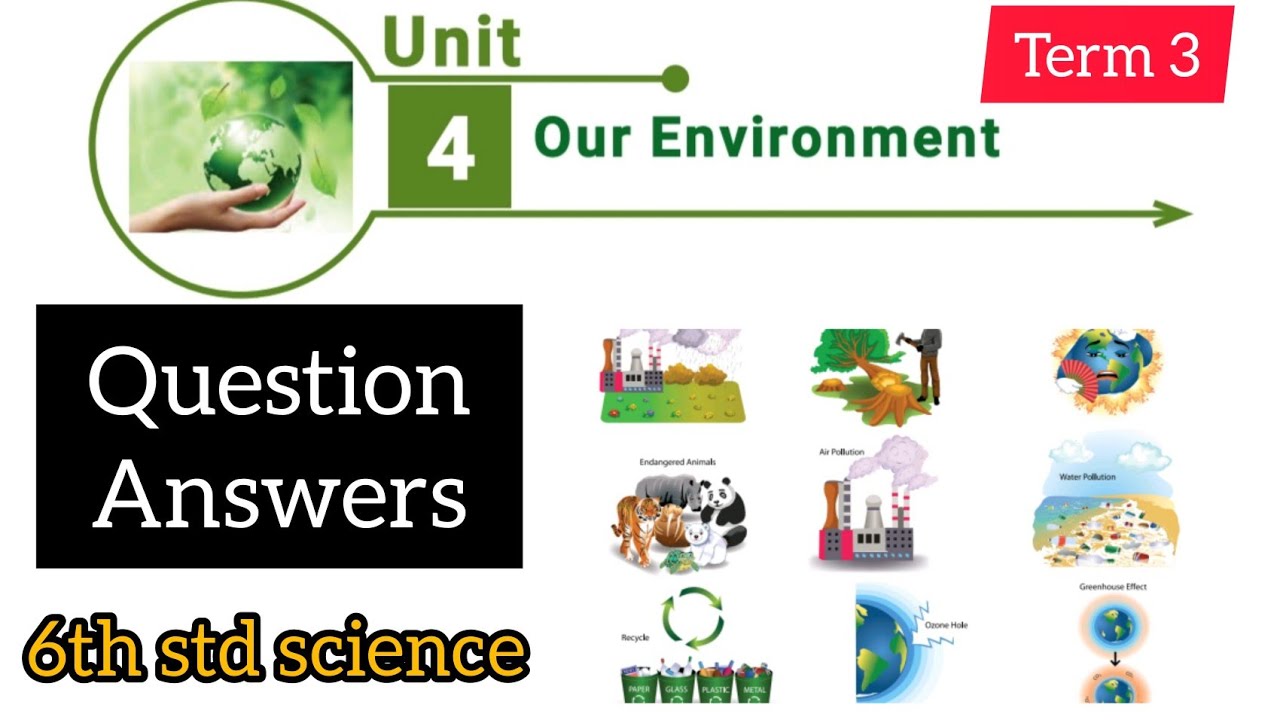 6th std science term 3 unit 4 book back answers || our environment ...