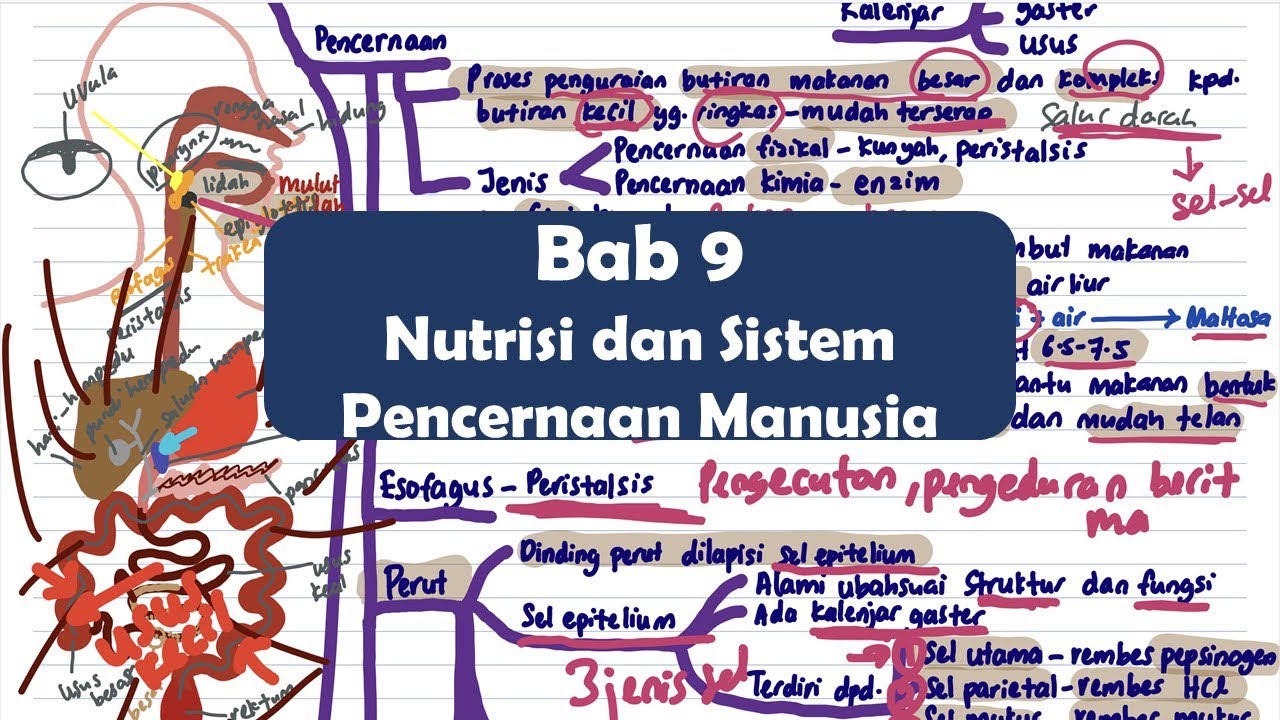 Bab 9 Biologi Tingkatan 4 Kssm