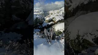 It's snowing in the Alps! #snow #freshsnowfall