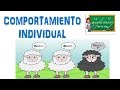 Comportamiento individual  tema 4  comportamiento organizacional  cursos facilitos oficial