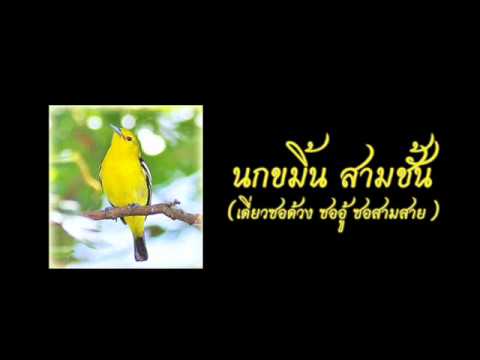 เพลงไทยเดิมโดย ด.ช วีระศักดิ์ ดีสนั่น เลนที่12 Hqdefault