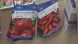 На будь який смак та гаманець: скільки коштує насіння у Покровську цього року? - 10 