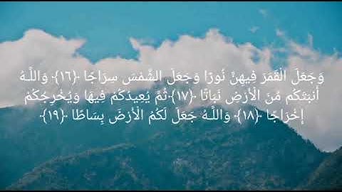 تلاوة في غاية الرووعه من سورة نوح صلاة العشاء 1439 القارئ علي صلاح العمر