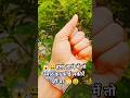 #funny #trending #viralvideo #shortvideo