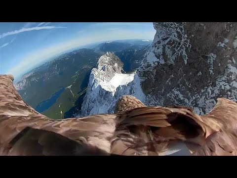 Vídeo: Homem Sobrevoa Os Alpes Com Menos De 54 Anos; Brinquedo 039; Balões [VID] - Rede Matador