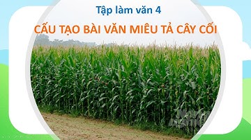 Tập làm văn 4 - Tuần 21 - Cấu tạo bài văn miêu tả cây cối