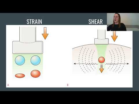 Ultrasound Elastography Explained: Strain and Shear