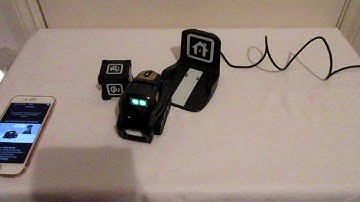 Anki Vector First Startup and Look at the app!