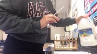 Famous Inv 4, Part 1: Diffusion into Agar Cells Profile