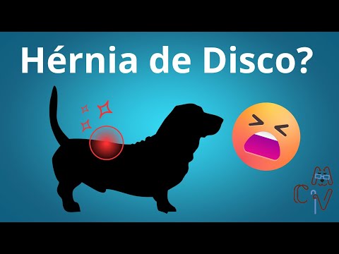 Vídeo: Pet Talk: Doença do disco intervertebral em cães