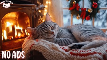 Cat Relaxing Music 😻 Cozy Ambience for Cats to Anti-Anxiety & Help Your Pet Sleep Well