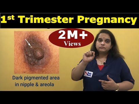 First Trimester Pregnancy | Sign and Symptoms of Pregnancy | Nursing Lecture