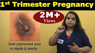 First Trimester Pregnancy | Sign and Symptoms of Pregnancy | Nursing Lecture screenshot 5