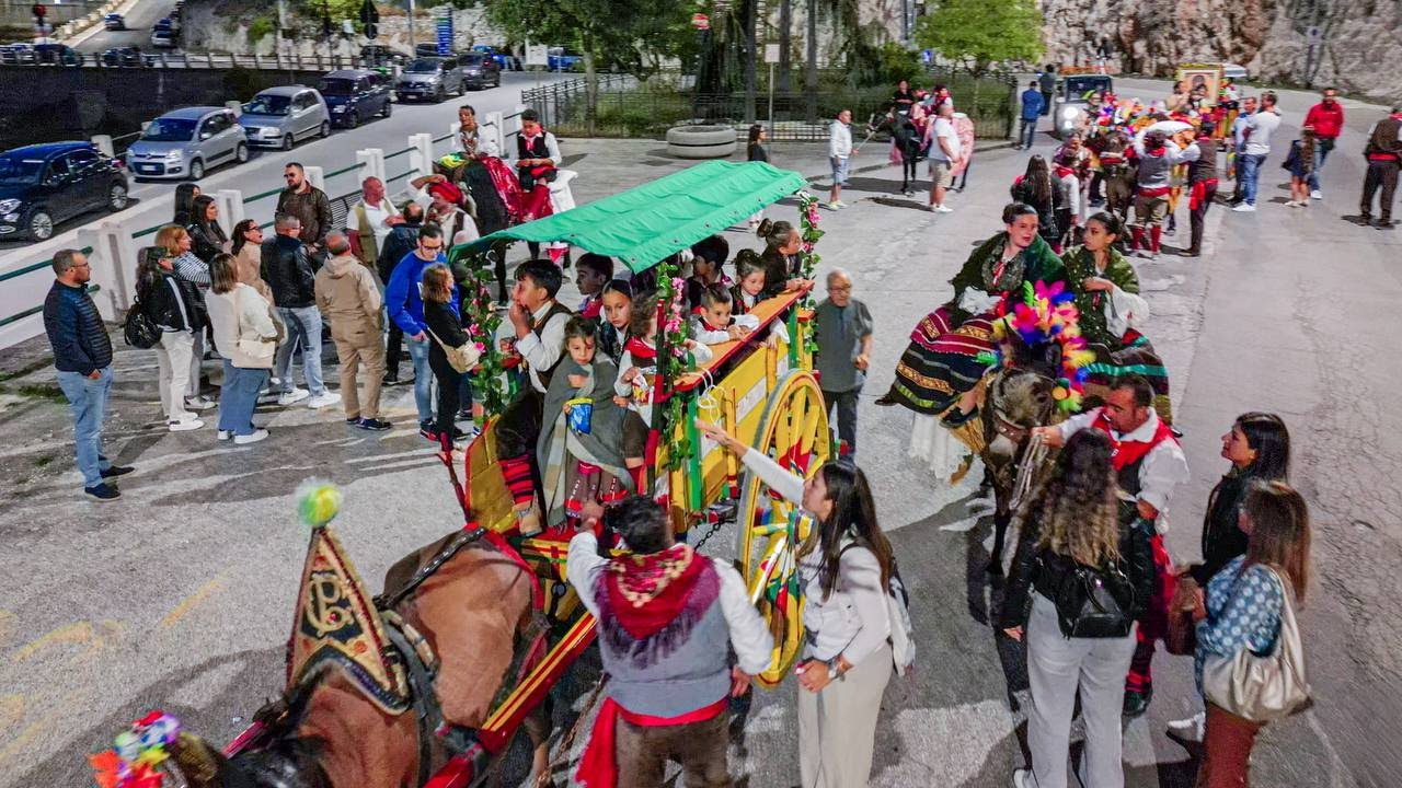Sfilata dei Muli Bardati 2025 | Monte Sant'Angelo
