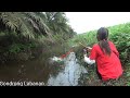 Gak ada orang mancing!! Ikan ngantri, nungguin umpan jatuh