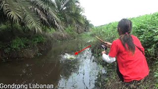 Gak ada orang mancing!! Ikan ngantri, nungguin umpan jatuh screenshot 3