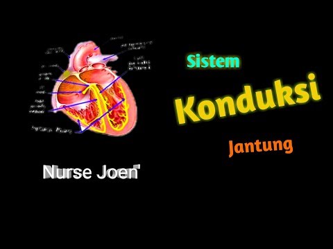 Video: Efek Jangka Pendek Dari Partikel Halus Dan Ozon Pada Sistem Konduksi Jantung Pada Pasien Yang Menjalani Kateterisasi Jantung