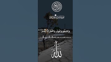 best Quran ricaition beautiful ❤️|سورة الفجر |#quran #beautiful #viral
