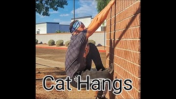 Cat Hang Tutorial for Parkour