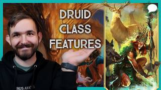 How To Make A Druid Using The D&D 2024 Handbook!