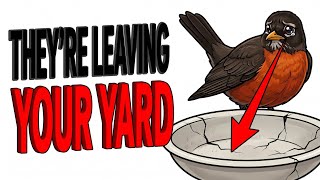 "Your Birds Are Waiting For This Every Summer Morning — And Leaving When It's Not There"
