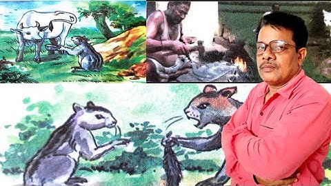 Class-4: English Lesson-4 :The squirrel with a long tail