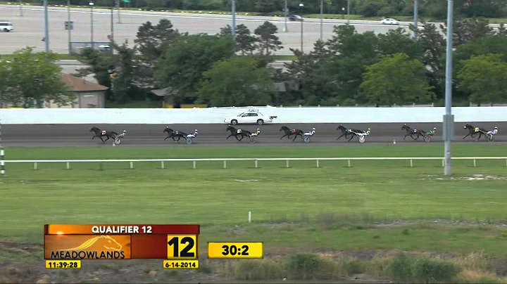 June 14, 2014 - Baby Race #12 - Western Pioneer
