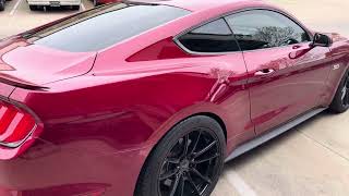 Ford Mustang GT 5.0 | Crazy Fast | XPEL XR Black Ceramic Tint | @tonysautosalondallas7511 | Texas