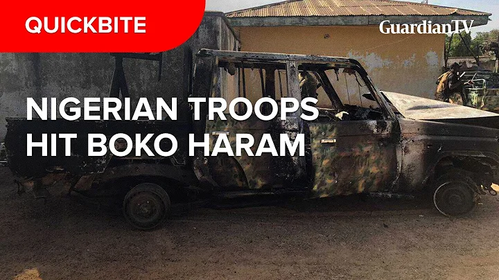 Nigerian troops kill 20 Boko Haram terrorists in Borno