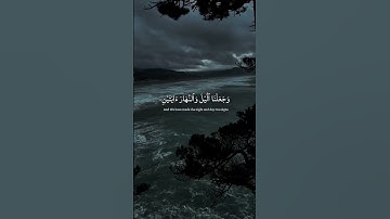 #تلاوة_خاشعة #yasseraldossary #تلاوة_هادئة #المصحف #قرآن