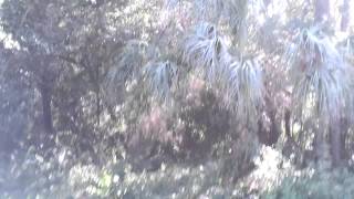20120802_173854.mp4