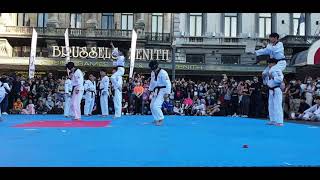 Kukkiwon Taekwondo Demonstration Team @Belgium