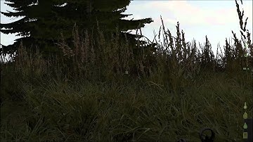 dayz m249 saw from behind lol