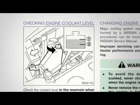 2014 NISSAN Murano - Fluid Check Point