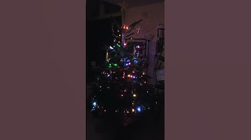 Arduino LED Lights Animation for Christmas #arduino #ledlights #mechatronics