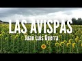 Las Avispas - Juan Luis Guerra (Letra)