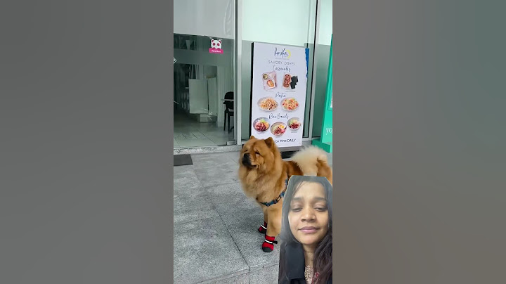 Lady plays hide and seek with hee dog 🐕