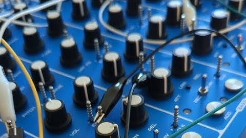 Stereo Pig is going live! Pulsar-23 Lyra-8 jams