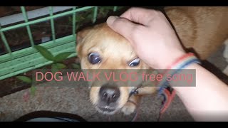 강아지 산책 vlog 무료브금 모음