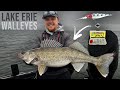 Trolling technique catches giant lake erie walleyes