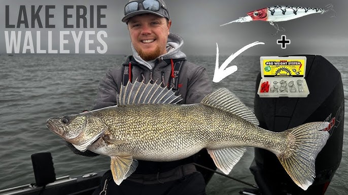 The Insane Cult of the Lake Erie Walleye