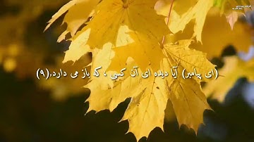 سوره کامل علق Al-alaq با ترجمه دری / به صدای الشیخ محمد صدیق المنشاوی / سوره علق با ترجمه دری